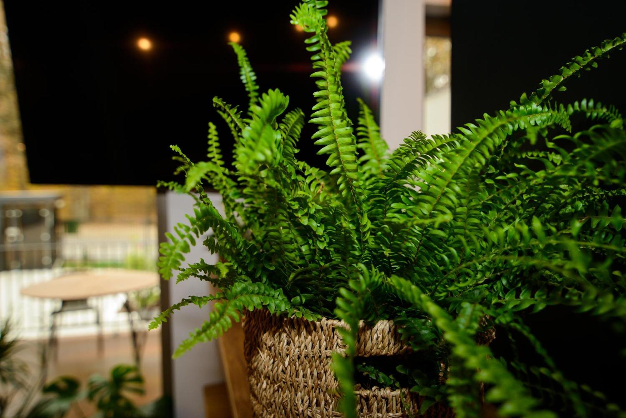 Forest Boutique Piteşti Exteriör bild