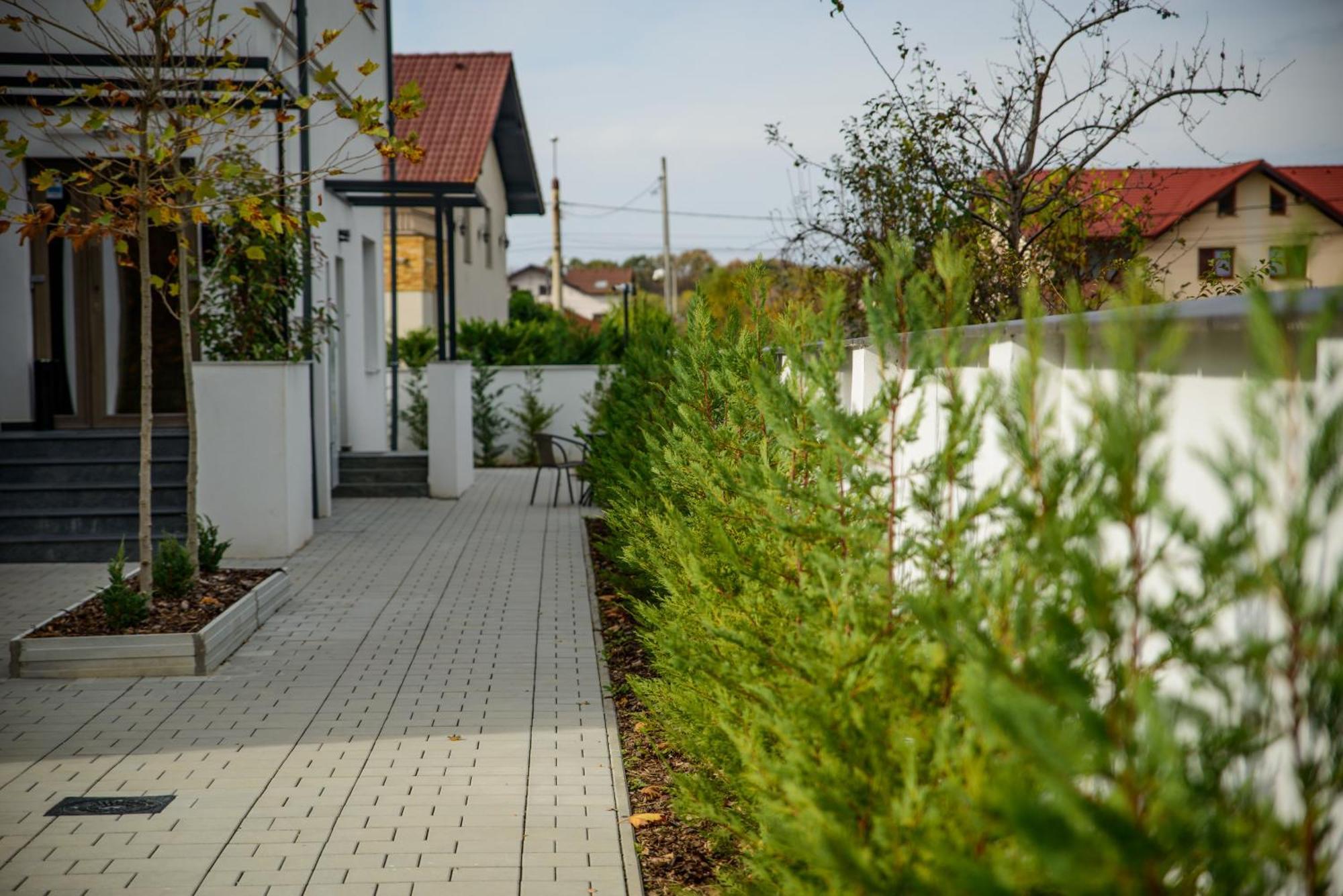 Forest Boutique Piteşti Exteriör bild